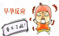 ���з�Ӧ����ʲôԭ�������?